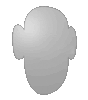 Polystyrolplatte in Kopf-Form konturgefräst <br>beidseitig 4/4-farbig bedruckt