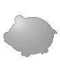 Polystyrolplatte in Schwein-Form konturgefräst <br>beidseitig 4/4-farbig bedruckt